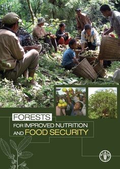 UN Signals Positive Role for Forestry in Food Security and Nutrition