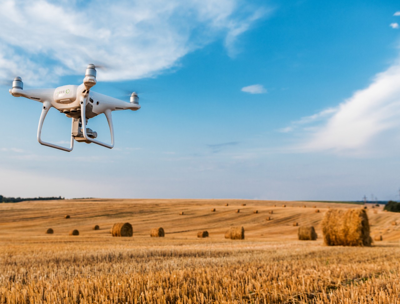 The Potential of Digital Agriculture