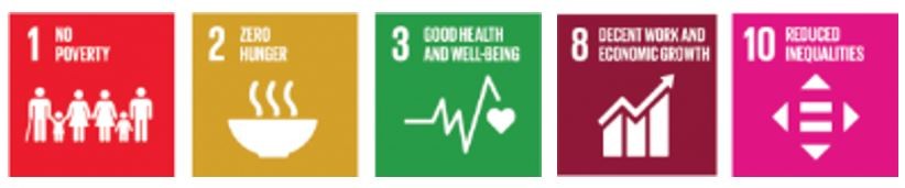 The COVID-19 Pandemic and the SDGs: What can we do Differently?