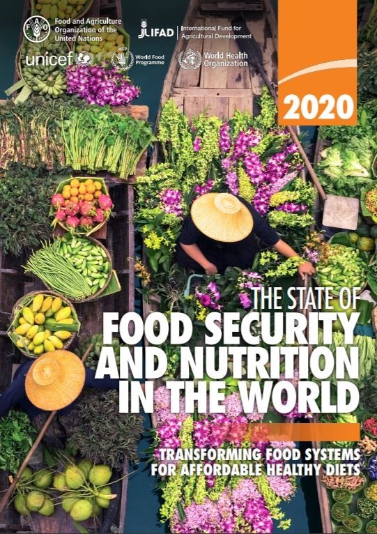 Report on the State of Food Security and Nutrition in the World 2020