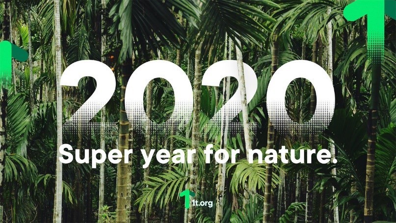 Is 2020 still a Super Year for Nature?