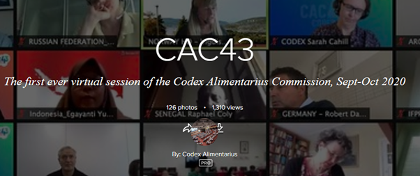Vital work of Codex Alimentarius continues despite COVID-19
