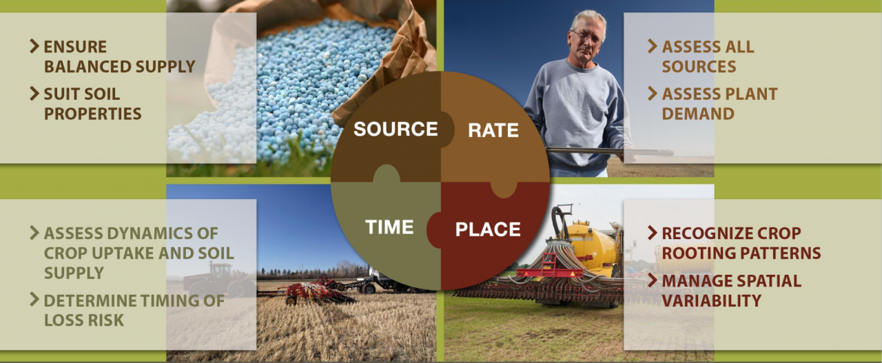 The 4R’s of Nutrient Stewardship