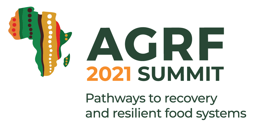 Shaping the Path to Resilient Food Systems in Africa