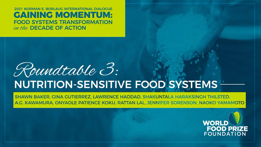 World Food Prize Borlaug Dialogue 2021: Nutrition-Sensitive Food Systems Roundtable