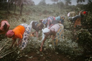 Gender Equality in Agriculture for Sustainable Food Systems in a Changing Climate