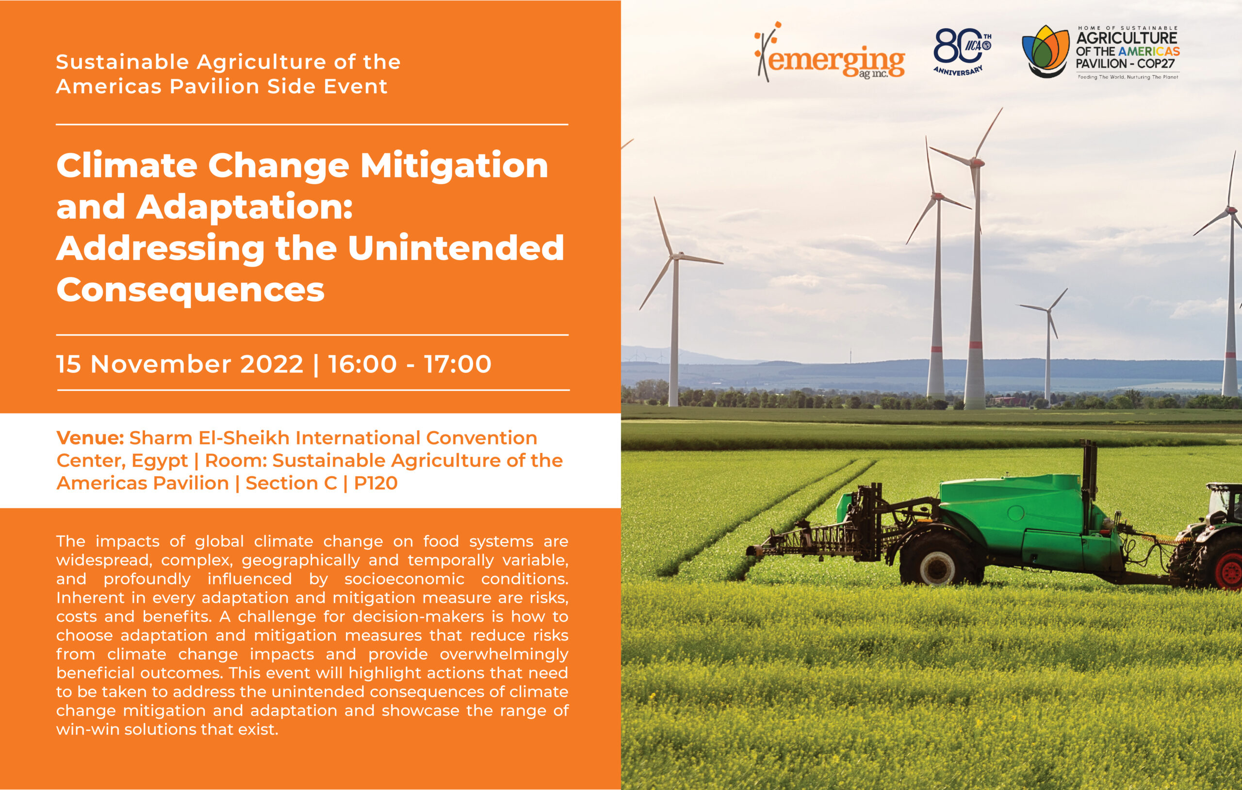 Climate Change Mitigation and Adaptation: Addressing the Unintended Consequences