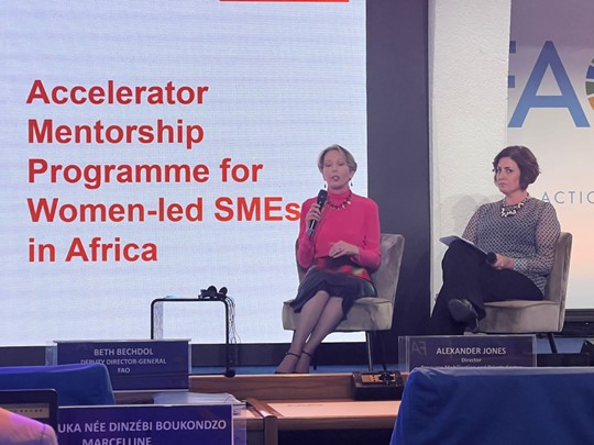 FAO & IAFN Team Up to Support Women SMEs Through Mentorship