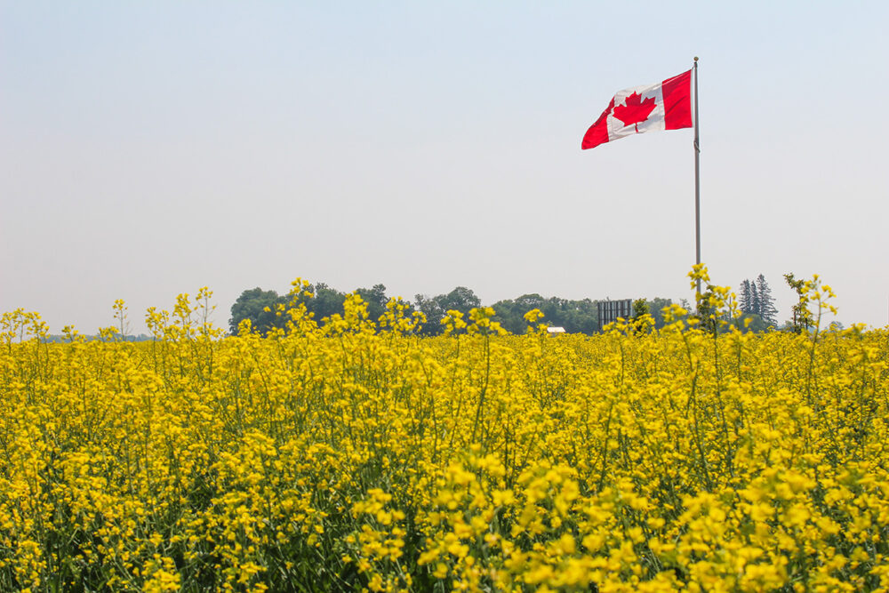 Celebrating Canada’s Agriculture Day – Emerging Ag Inc