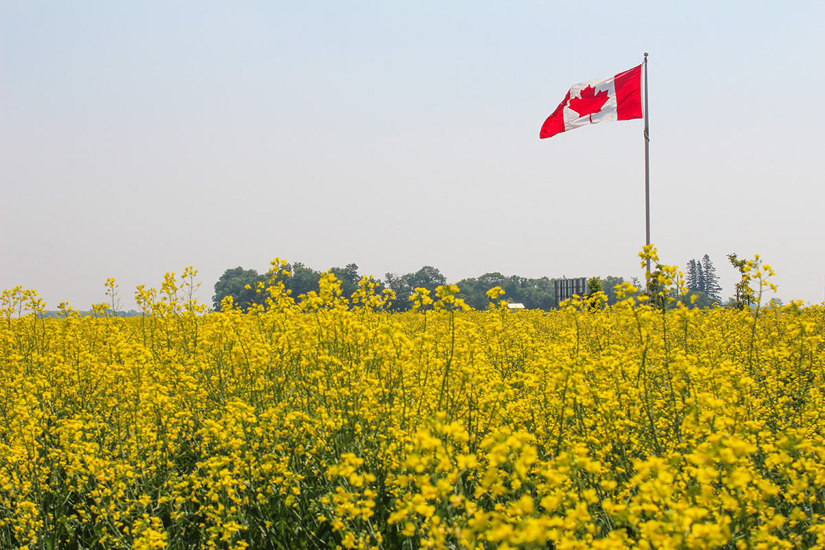 Celebrating Canada’s Agriculture Day