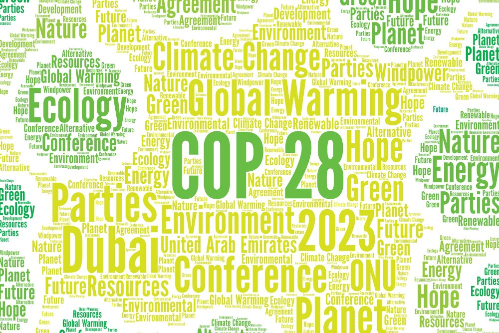 The Road to the COP 28