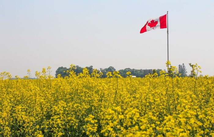 World Food Safety Day