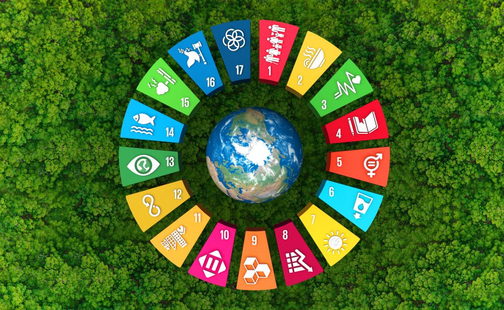 A Look at the 2023 UN SDG Summit