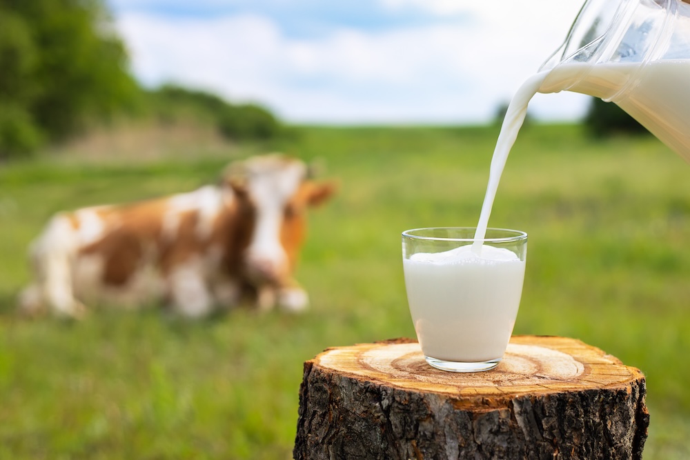 Join the Celebration: Two Weeks Until World Milk Day 2024!