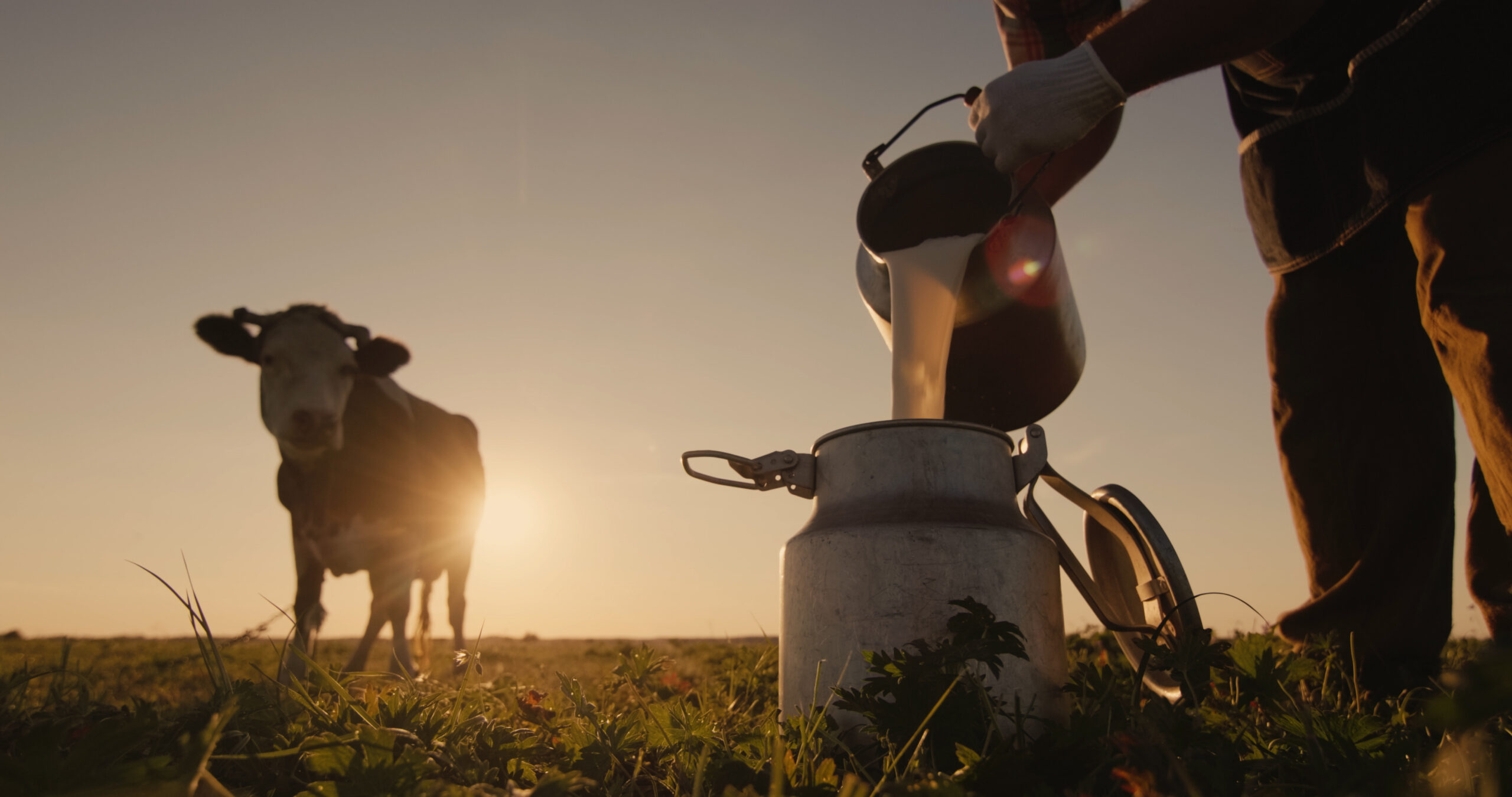 World Milk Day 2024 Report – Celebrating Dairy’s Vital Role in Nutrition and Sustainability