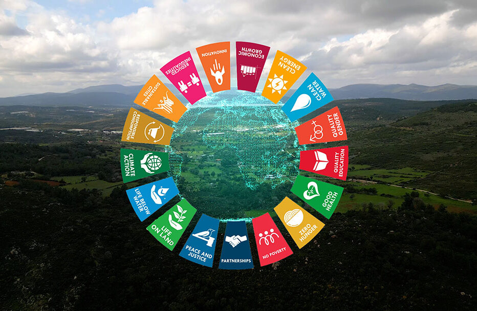 The Summit of the Future – What’s at stake for the SDGs