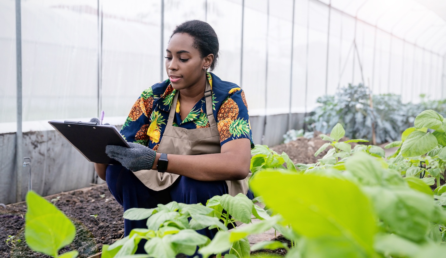 Cultivating a Sustainable Food Future for Africa