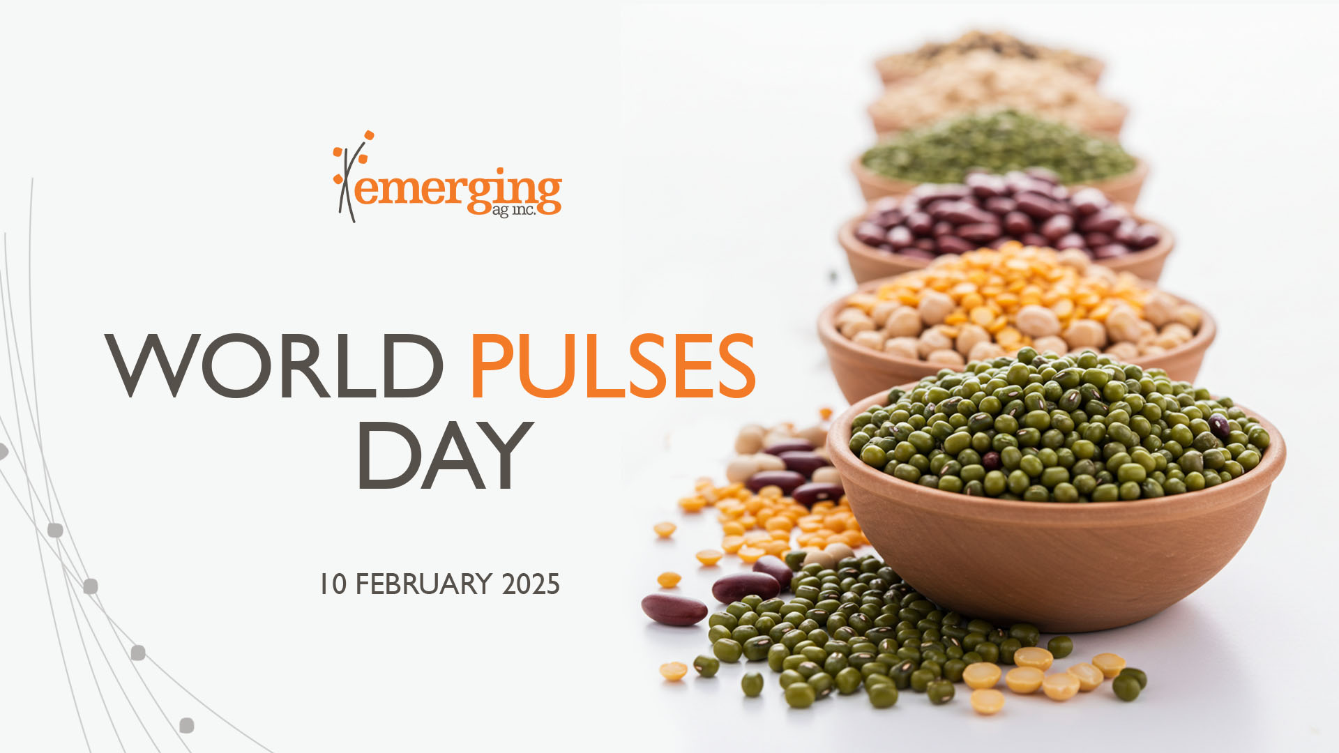 Pulses: Small Seeds with a Big Impact on People and the Planet