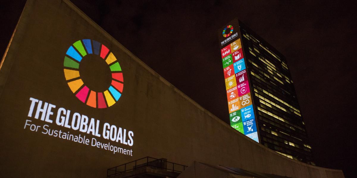 HLPF 2025 – A Defining Moment for Private Sector Leadership on the SDGs 