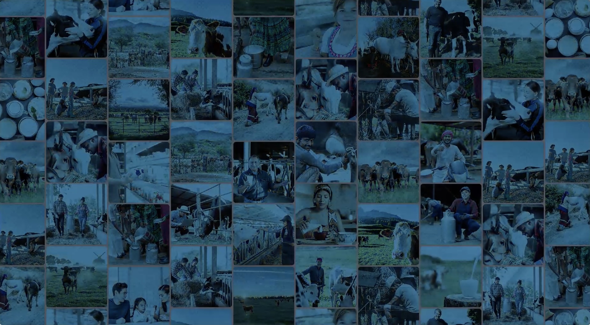 World Milk Day 2025 Report: Toasting to Dairy’s Power and Promise