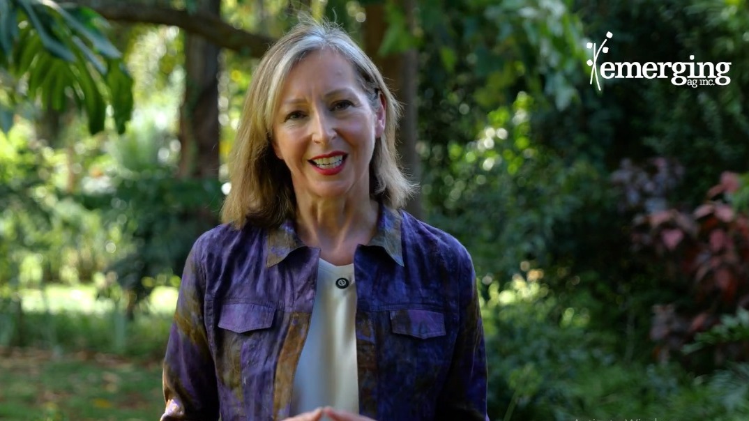 Climate Resilience: A Defining Priority for COP30